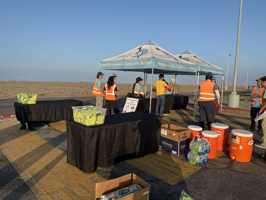 Bolsa Chica Conservancy beach cleanup with 300+ volunteers