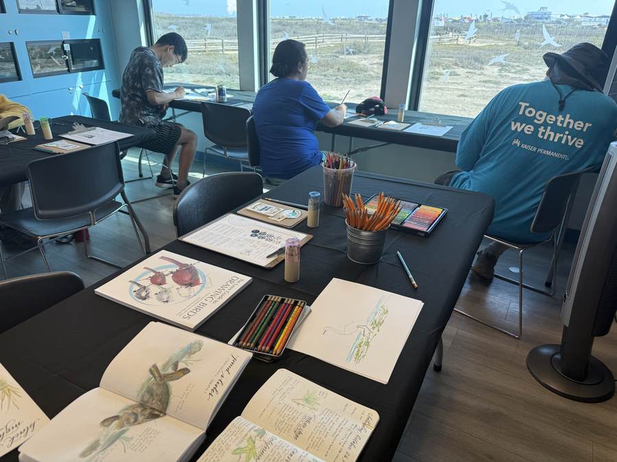 Nature journaling & painting workshop — curriculum by Ren