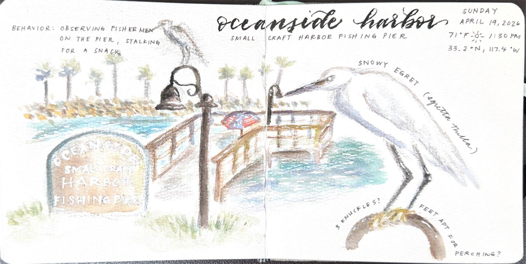Watercolor field sketch — Oceanside Harbor fishing pier and a snowy egret