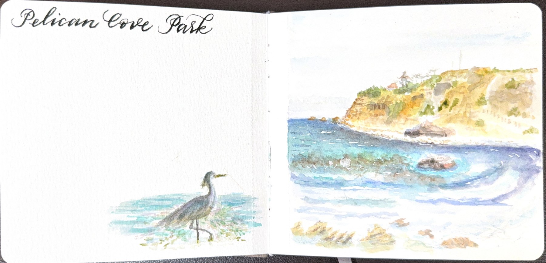 Watercolor field sketch — Pelican Cove Park, a heron in the shallows